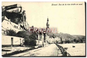 Old Postcard Dinant View of the right bank downstream