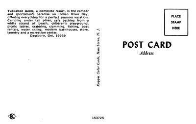 TUCKAHOE ACRES Indian River Bay Dagsboro, DE Camping c1970s Vintage Postcard 