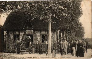 CPA AK Fetes de BLOIS - Exposition Forestiere - Le Chalet Forestier (208830)