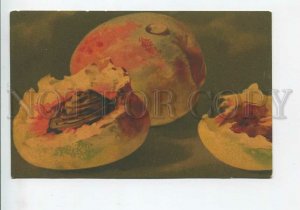 436090 KLEIN Sweet Peach FRUITS Vintage postcard