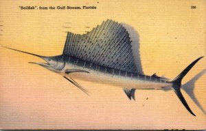 Florida Sailfish From The Gulf Stream 1945