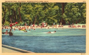 Vintage Postcard Swimming Pool Spot Big Basin Redwood State Park California CA