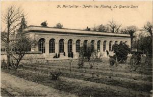 CPA MONTPELLIER - Jardin des Plantes La Grande Serre (518683)