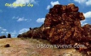 Old Faithful Log - Petrified Forest National Monument, Arizona AZ