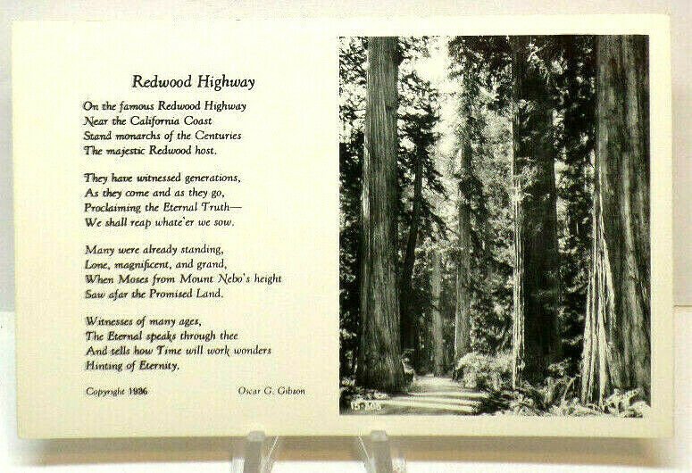 RPPC-Redwood Highway--California Coast 1936 EKC Real Photo Postcard A3