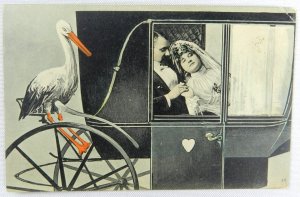 Young Bride and Groom Just Married in Carriage with Ibis - Vintage Postcard