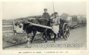 Province of Quebec Canada, du Canada Une Charrette de Boenf, Gaspesian Ox Car...