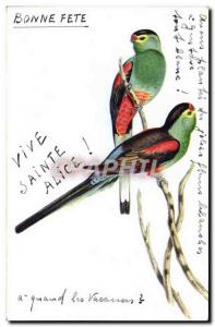 Old Postcard Fantasy Vive Sainte Alice Birds Parakeets