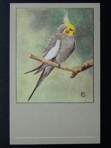 Bird Theme COCKATIEL c1950s Postcard by P. Sluis Series 5 No.56