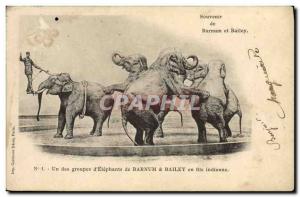 Old Postcard Circus Barnum & Bailey A d & # 39elephants Elephant Group