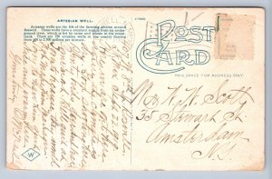 J86/ Roswell New Mexico Postcard c1910 Artesian Well Cattle Drinking  314