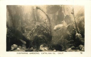 California Catalina Island San Diego Submarine Gardens 1920s RPPC 23-5932