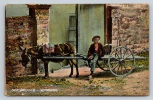 1914  Two Natives  Bermuda   African Boy and Donkey Postcard