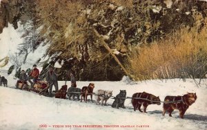 YUKON DOG TEAM FREIGHTING THROUGH ALASKAN CANYON~1909 POSTCARD