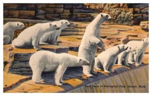 Postcard ANIMAL SCENE Detroit Michigan MI AR6477