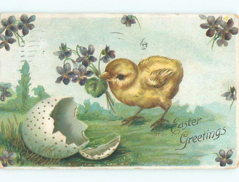 Divided-Back EASTER CHICK SCENE Cute Postcard AA0761