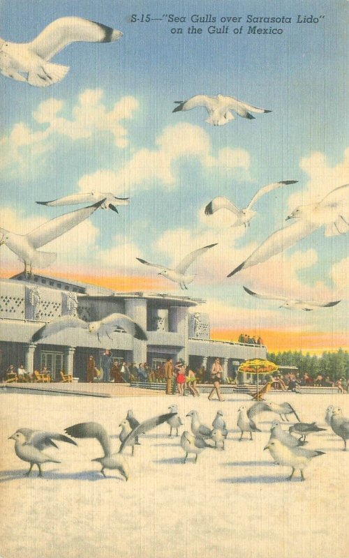 Sarasota Florida Sea Gulls Over Sarasota Lido, Lido Casino  Linen Postcard Used