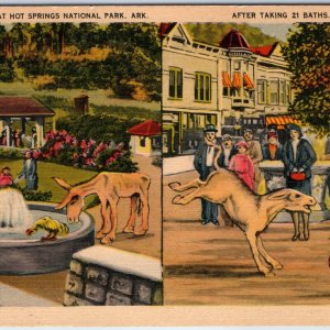c1940s Hot Springs AK Two View Comic After Taking 21 Baths Donkey Rooster A228