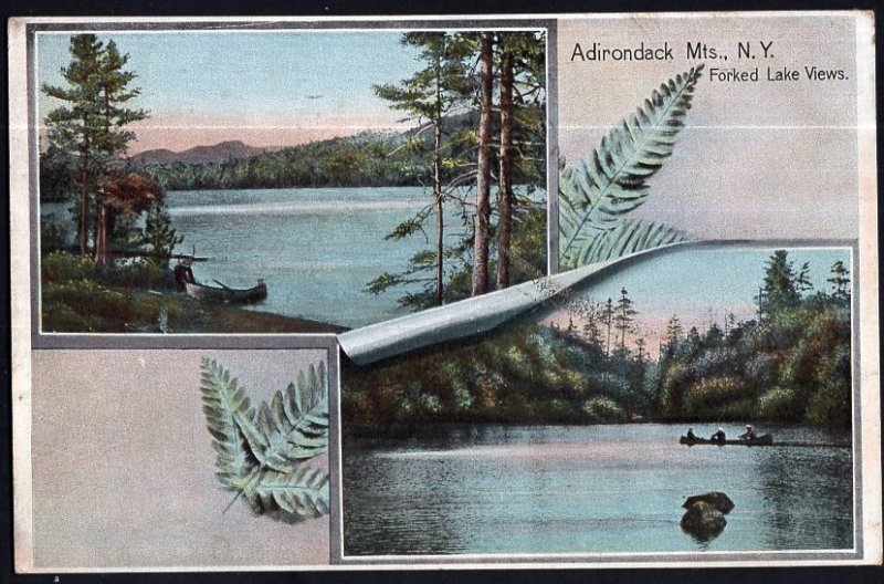 New York ~ SplitView - ADIRONDACK MTS Forked Lake Views Divided Back pm1910