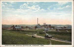 Kingsport Tennessee TN Union Dye and Chemical Corp Vintage Postcard