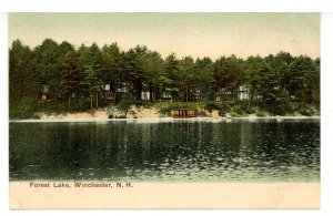 NH - Winchester. Forest Lake