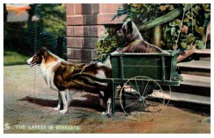 Dog ,    Collie  pulling dogcarts