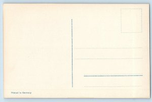 Christmas Postcard RPPC Photo Angels Cherub Christmas Tree On Window Germany