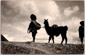 Journey Through The Desert Camel Real Photo RPPC Postcard