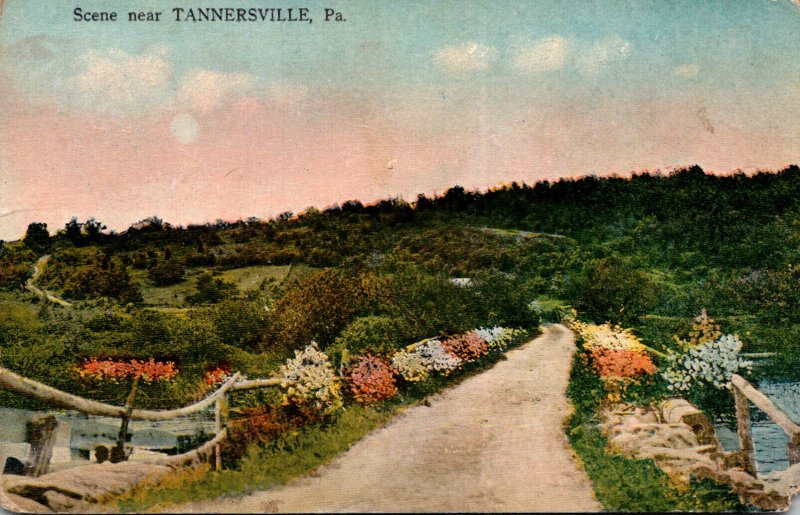 Pennsylvania Scene Near Tannersville 1917