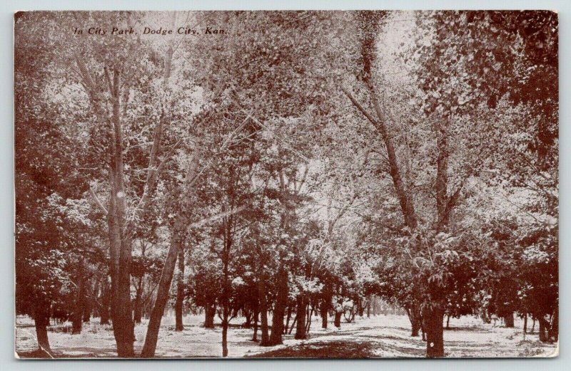 Dodge City Kansas~Thick Shade Trees in City Park~1909 B&W Tom Jones Postcard 