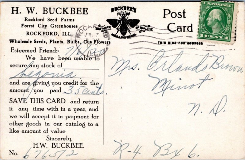 Postcard advert IL Rockford Buckbee's Seeds - Woman holding musk melon