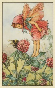 Red Clover Fairy Fairies from 1940s Book Painting Postcard
