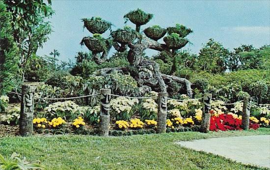 Florida Cypress Garden The Shangri La Tree At Cypress Gardens Conveys To The ...