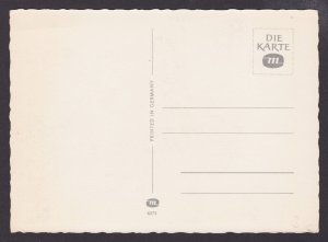 GERMANY, Postcard, Monkeys in the rain, Unposted