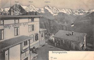 Schynigeplatte Switzerland Hotel Schynge Platte Antique Postcard J77033