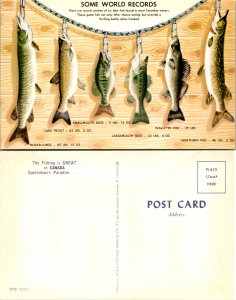 Some World Records The Fishing is Great in Canada Sportsman's Paradise (11715)