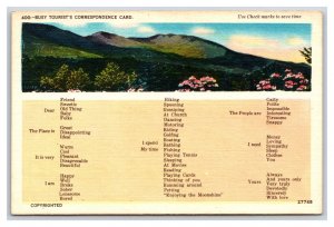 Busy Person Correspondence Card Landscape View UNP Unused Linen Postcard W20