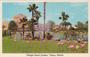 Florida Tampa Busch Gardens Flamingos & Brewery Building