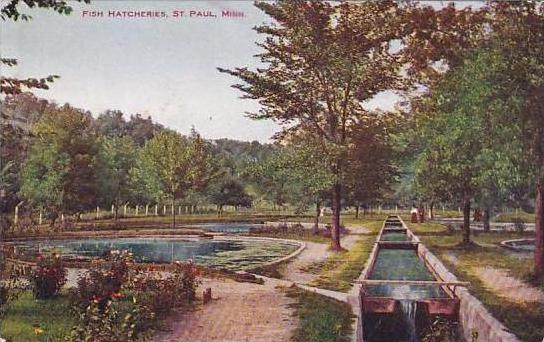 Minnesota St Paul Fish Hatcheries