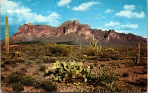 Vtg Prickly Pear Stag Horn Superstition Mountain Range Mesa Arizona AZ Postcard