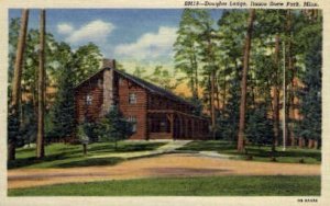 Douglas Lodge - Itasca State Park, Minnesota MN Postcard