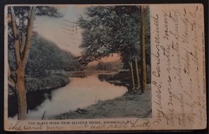 Springfield, VT - The Black River from Seaver's Bridge - 1907