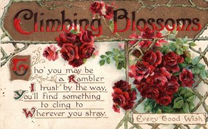 VINTAGE POSTCARD CLIMBING BLOSSOMS EVERY GOOD WISH GREETING CARD EMBOSSED c.1910