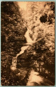 Upper and Middle Falls Buck Hill Falls Pennsylvania PA Hand-Colored Postcard C14