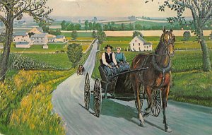 Amish Courting Carriage Leola, Pennsylvania PA s 