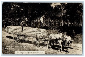 1912 Exaggerated Corn Grown In Martin Walker Iowa IA RPPC Photo Antique Postcard