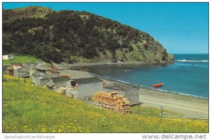 Canada Bottle Cove Bay Of Islands Nova Scotia