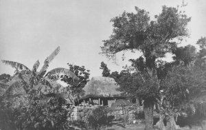 Okinawa Japan Country Home Real Photo Vintage Postcard AA65900