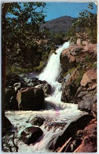 M-59552 Chasm Falls On The Fall River Rocky Mountain National Park Colorado