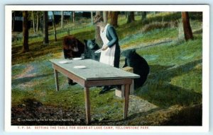 YELLOWSTONE NATIONAL PARK, WY ~ Setting Table for Bears LAKE CAMP 1920s Postcard